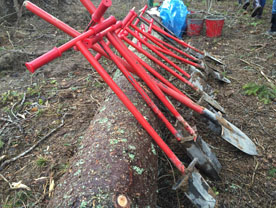 Сотрудники «САН ИнБев» восстановили участок леса в Национальном парке Угра